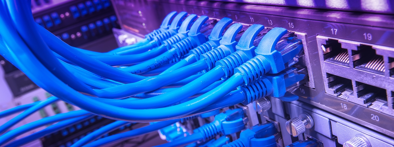 network cables connected to switch
